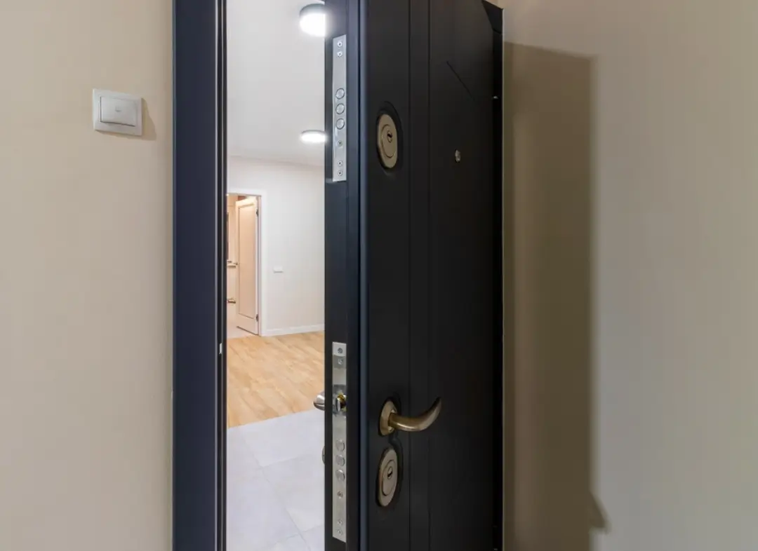 Porte Blindée Hésingue